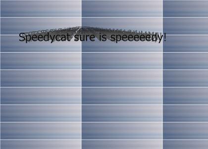 It's Speedycat!