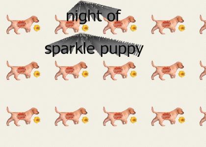 night of the sparkle the puppy