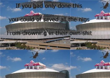 Solution to drowning nigs in new orleans!