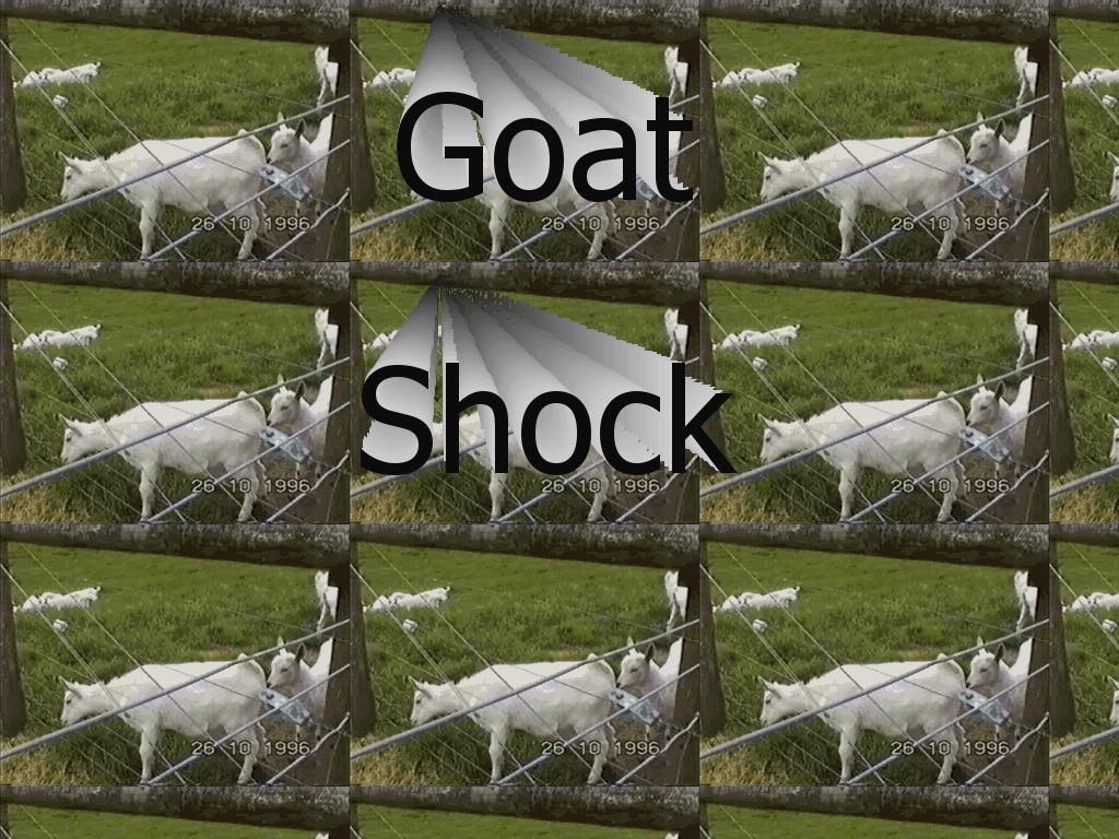 goatshock
