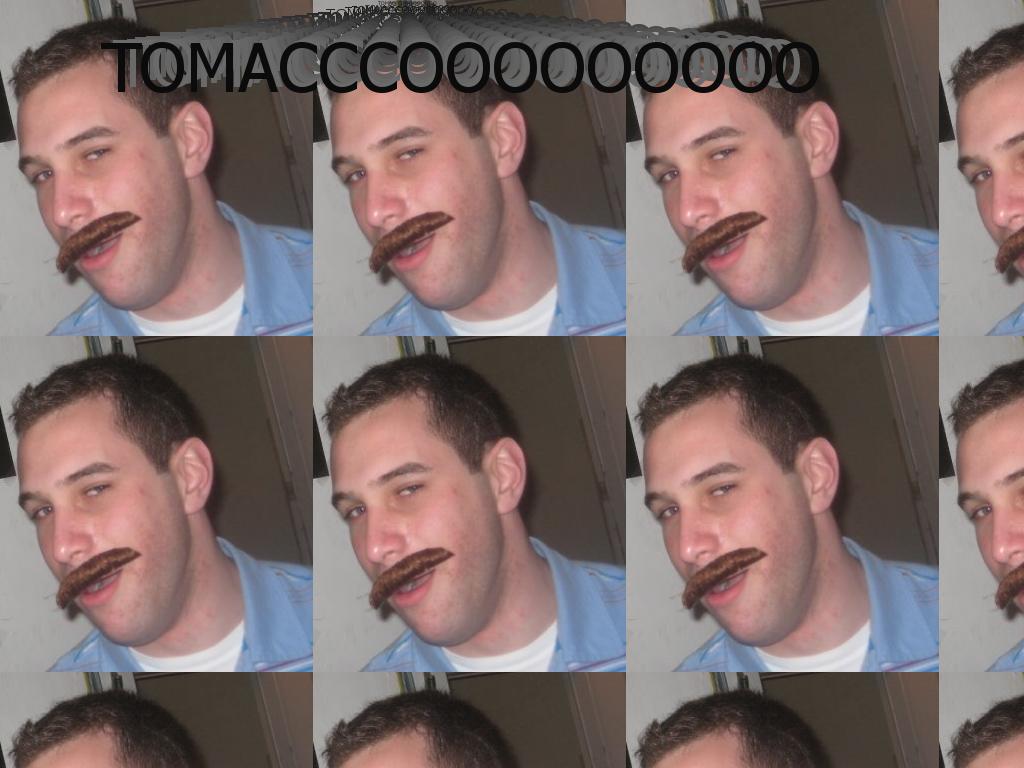 tomaccotodd