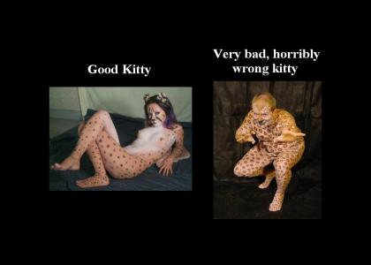 Good Kitty vs. Bad Kitty (updated)