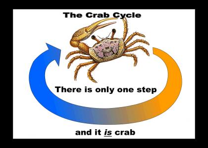The Crab Cycle