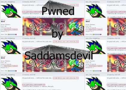 Saddamsdevil pwned you