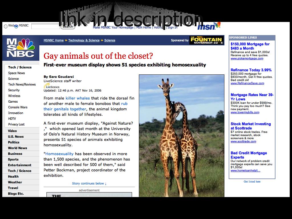 gaynimals