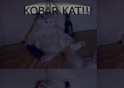 Kobar Cat