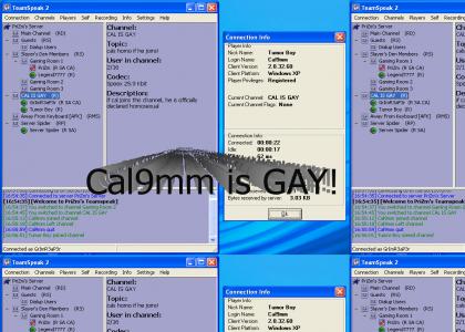 Cal is Gay