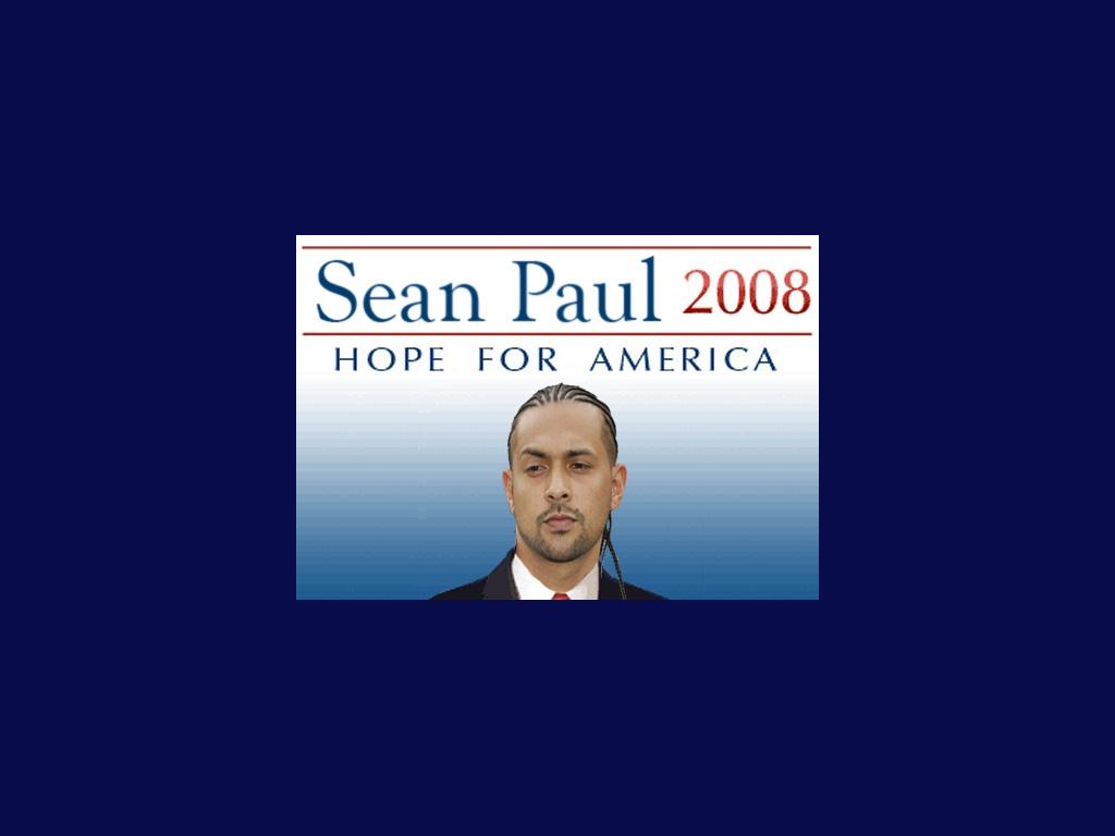 votepaul2008