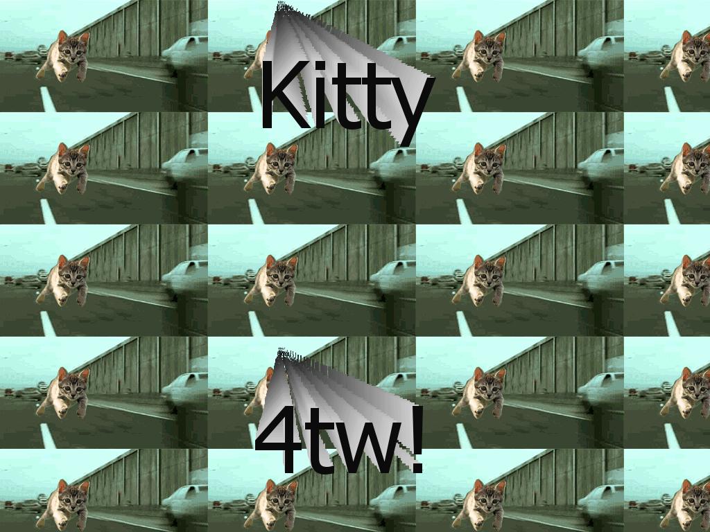 kittyfortehwin