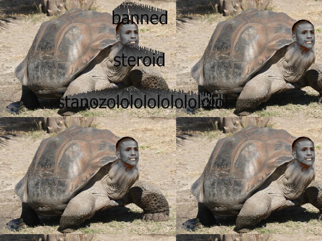 ILikeTortoises