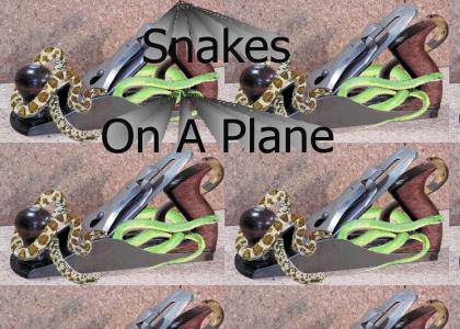 Snakes on A Plane?