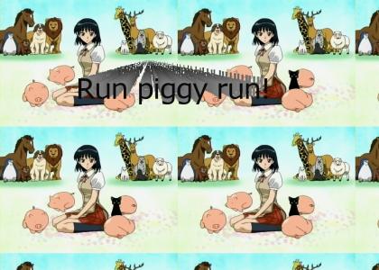 Piggy run
