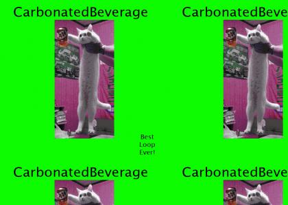 Longcat Enjoys His Root Beer While Spinning Around Listening To The Best Loop Ever!