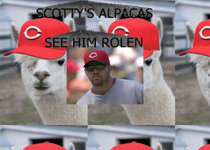 scott rolen is an alpaca farmer