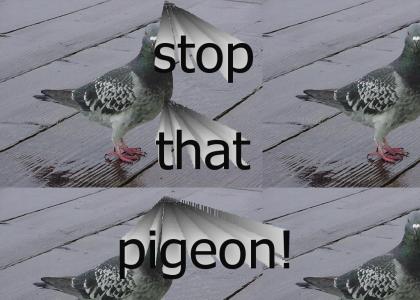 stop that pigeon (update)