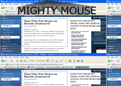 mouse so mighty, he pwn you long time!