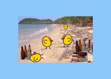 tourny3: drunk chicks at the beach