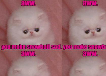 Snowball The Cat