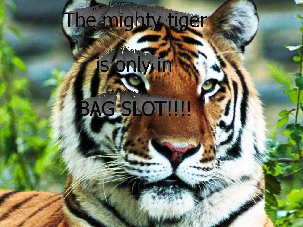 mightytiger