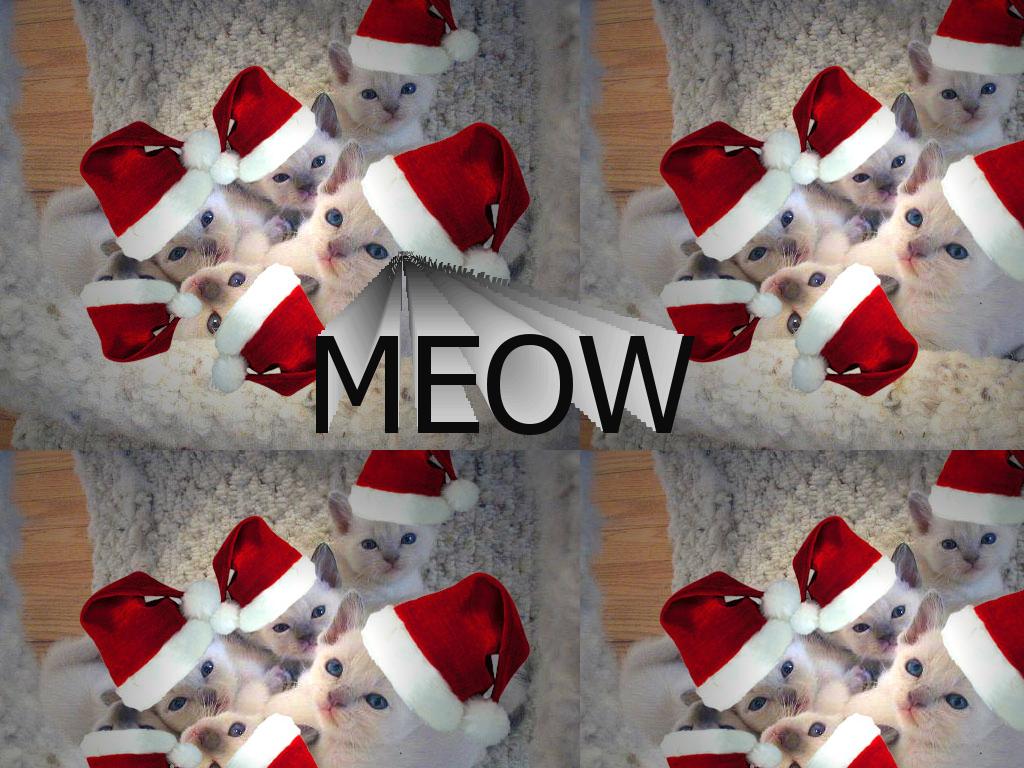 meows