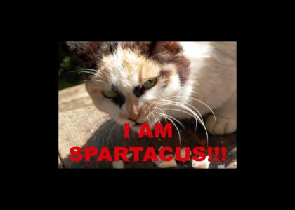 I AM SPARTICUS