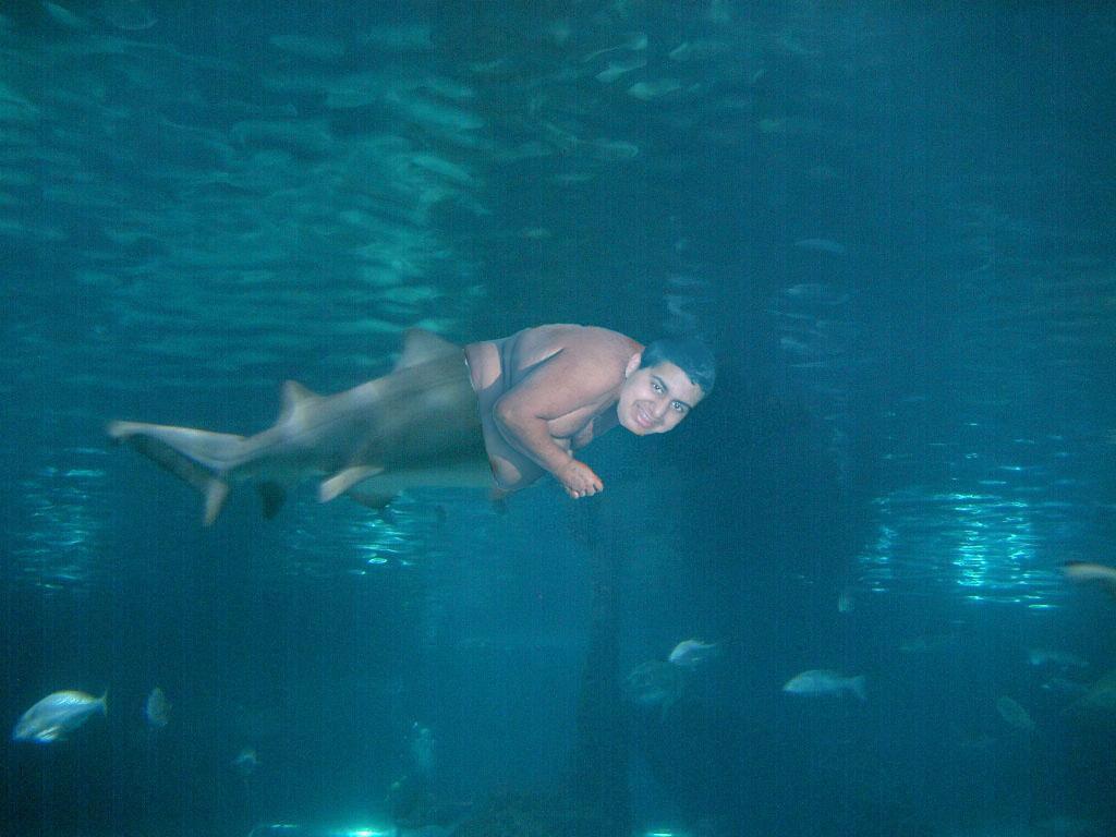 merman