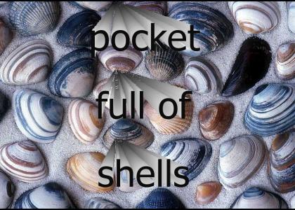 pocketful of shells
