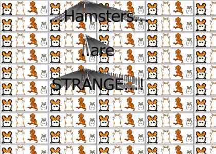 HamstersAreStrange