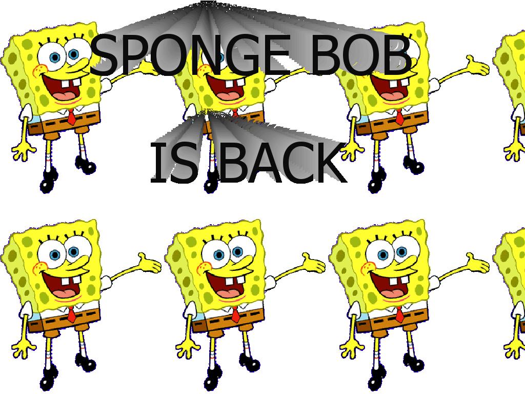 bobthesponge