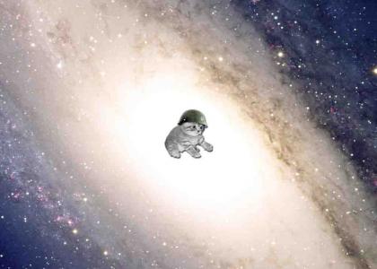 meow lost in space
