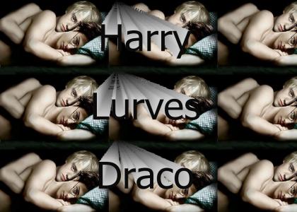 Harry and Draco? GAY!