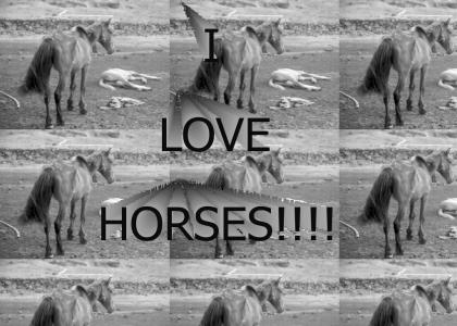 I Love Horse?!