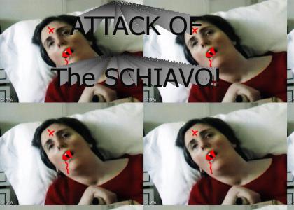 Terrifying Terri Schiavo