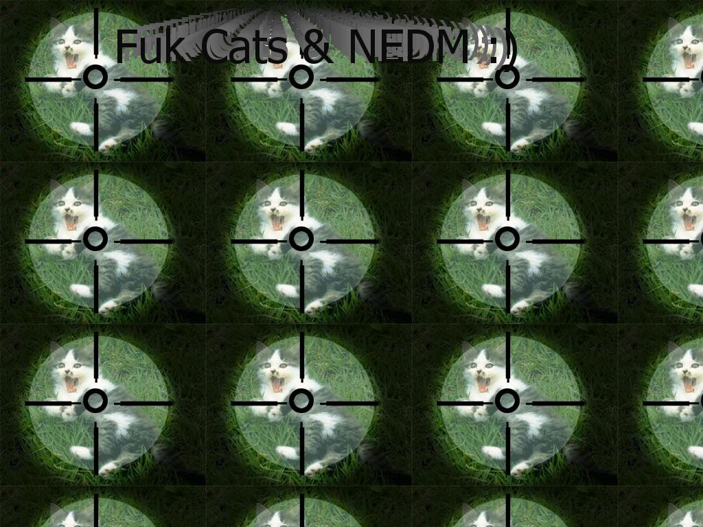 fukcatshehe