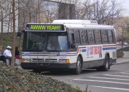 The Glenn Beck Bus