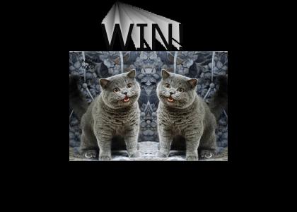 Happy Cat Wins!(new sound)