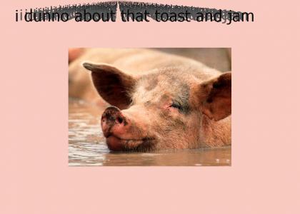 I like Bacon and Ham