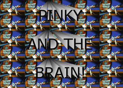 Pinky And The Brain!