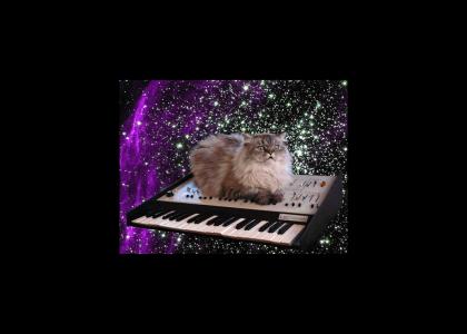 Cat on Crack on Keyboard in Space