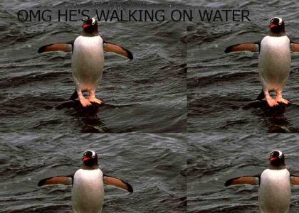 JESUS PENGUIN