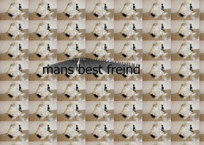 mans best freind