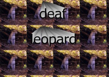 Deaf Leopard