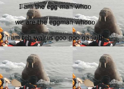 I am the walrus