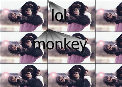 Lol Monkey