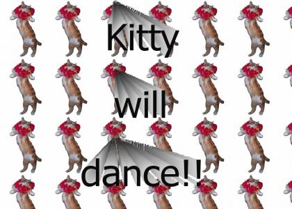 kitty will dance