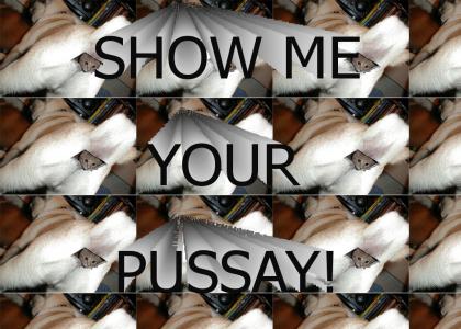 LET ME SEE YOUR PUSSAY!