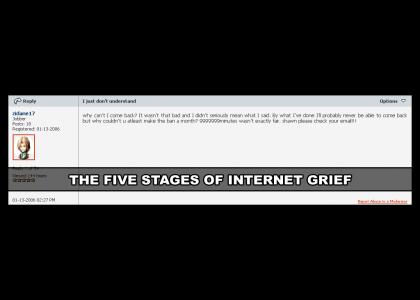 Five stages of internet grief