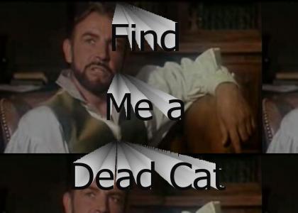 Find Me a Dead Cat