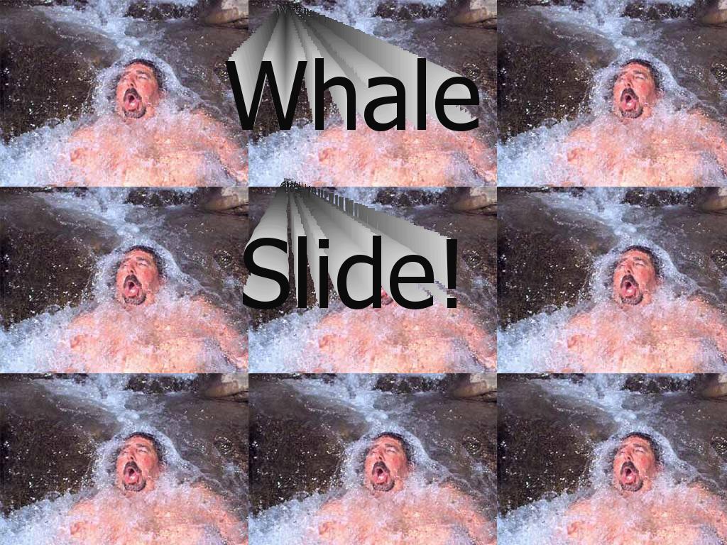 whaleslide