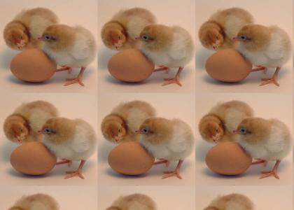 NAKED CHICKS !!!!!!!!!!!!!!!!!!